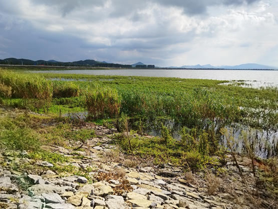 1692945782205651.png 1692945782205651.png