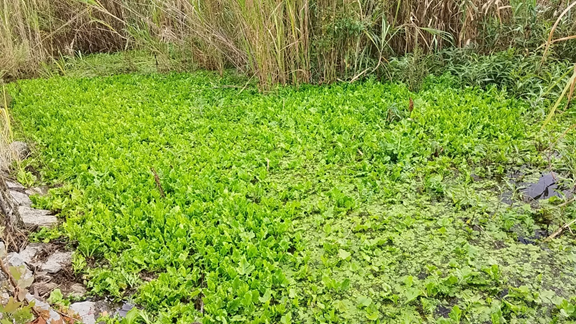 1692945812133457.png 1692945812133457.png